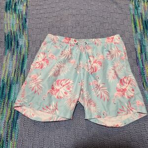 Tropical Free Planet Flamingo Swim Shorts